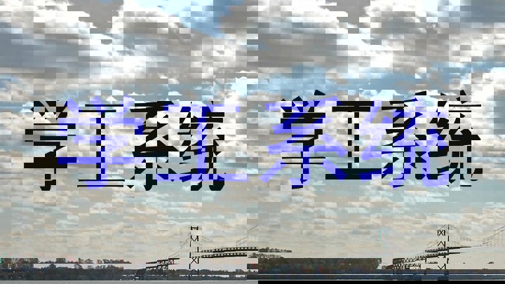 学工系统