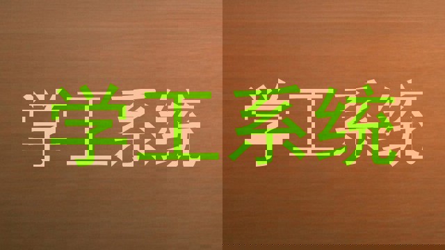 学工系统