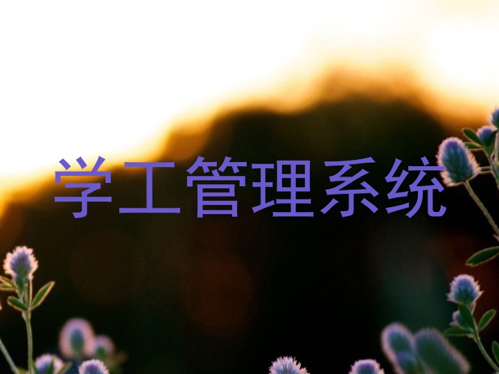 学工管理系统