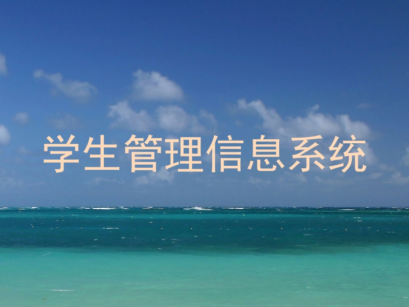 学生管理信息系统
