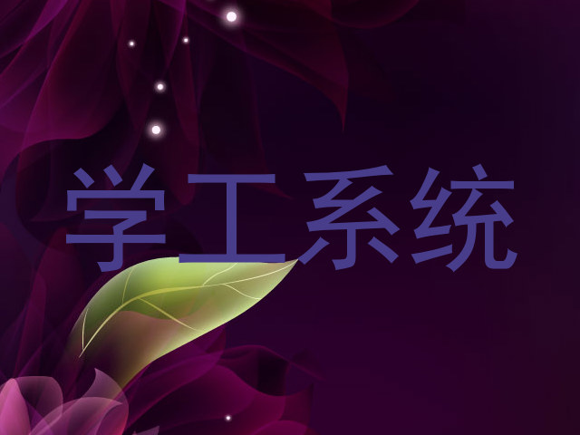 学工系统