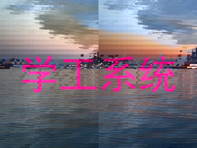 学工系统