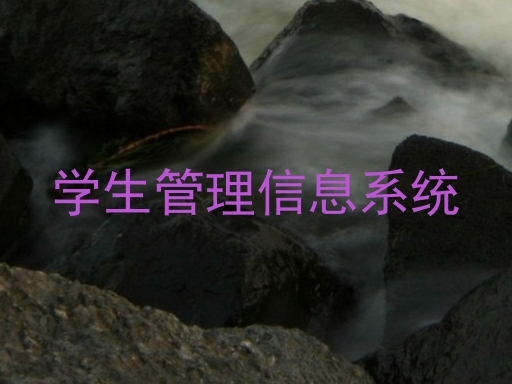 学生管理信息系统