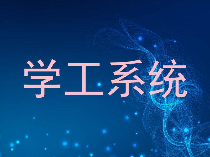 学工系统