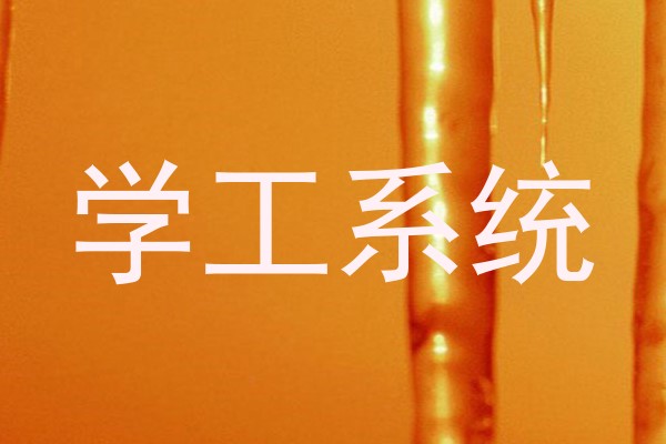 学工系统