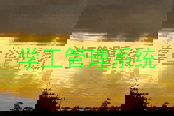 学工管理系统