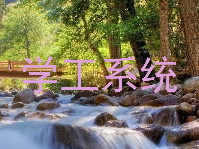 学工系统