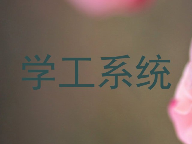 学工系统