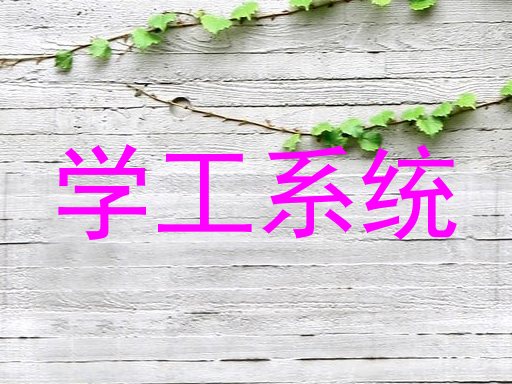 学工系统