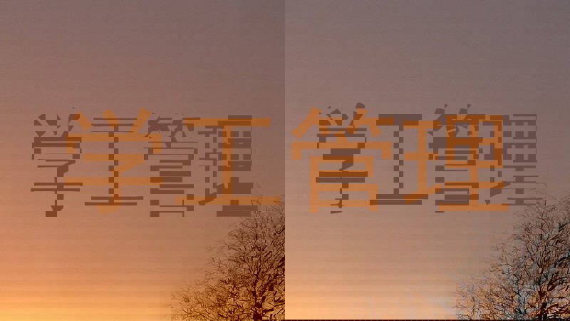 学工管理