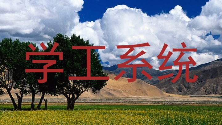 学工系统