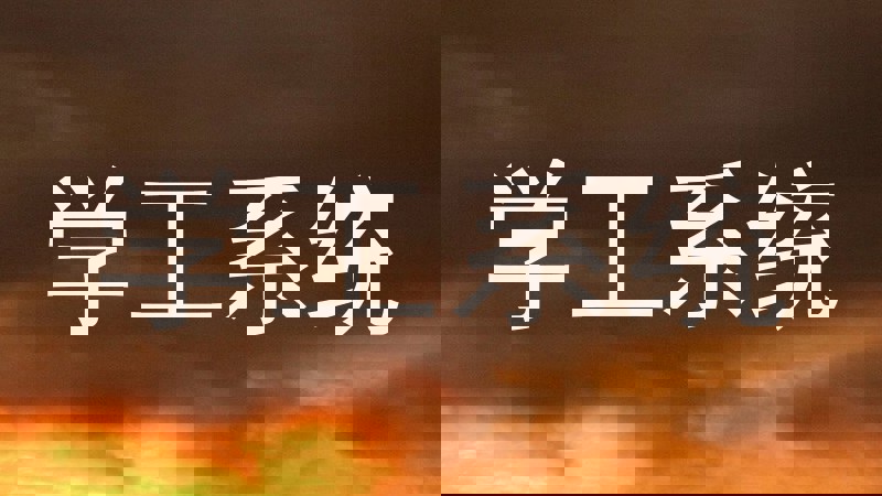 学工系统