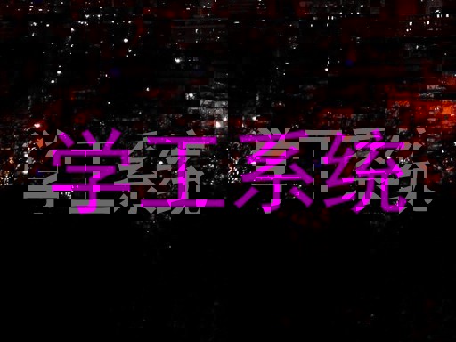 学工系统