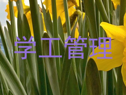 学工管理