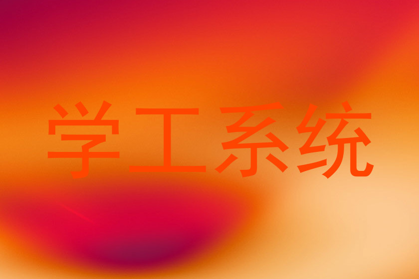 学工系统