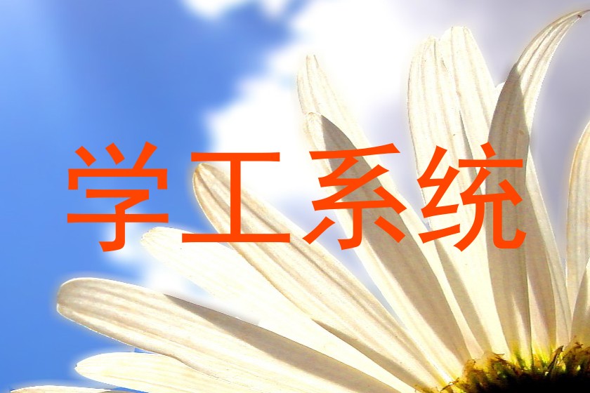 学工系统
