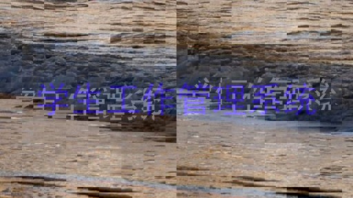 学生工作管理系统