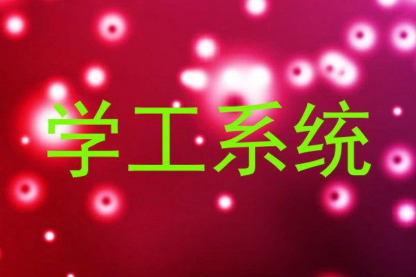 学工系统