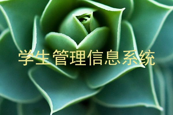 学生管理信息系统