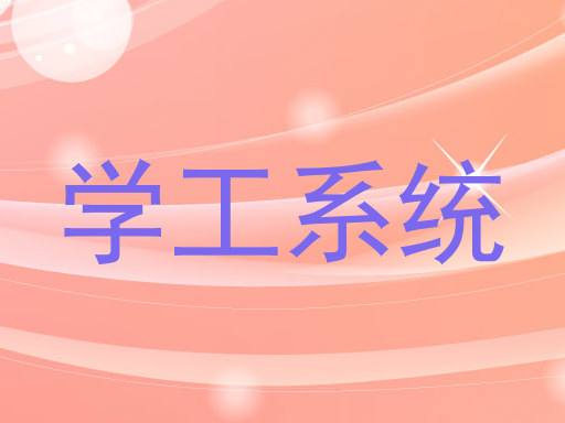 学工系统