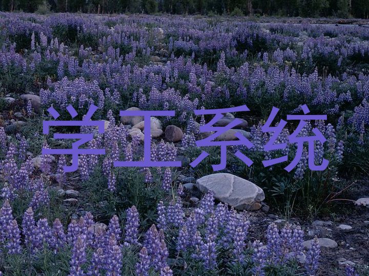 学工系统