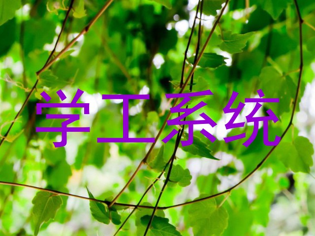 学工系统