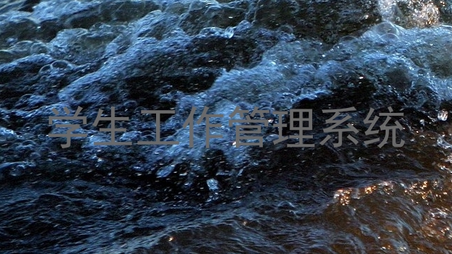 学生工作管理系统
