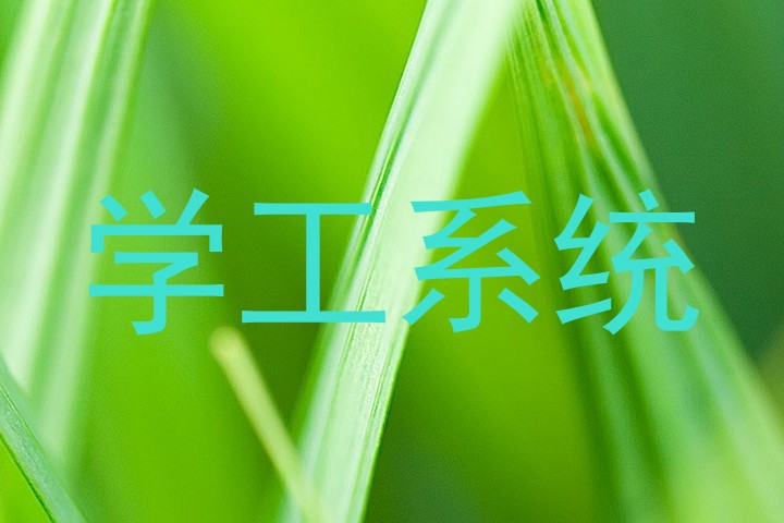 学工系统