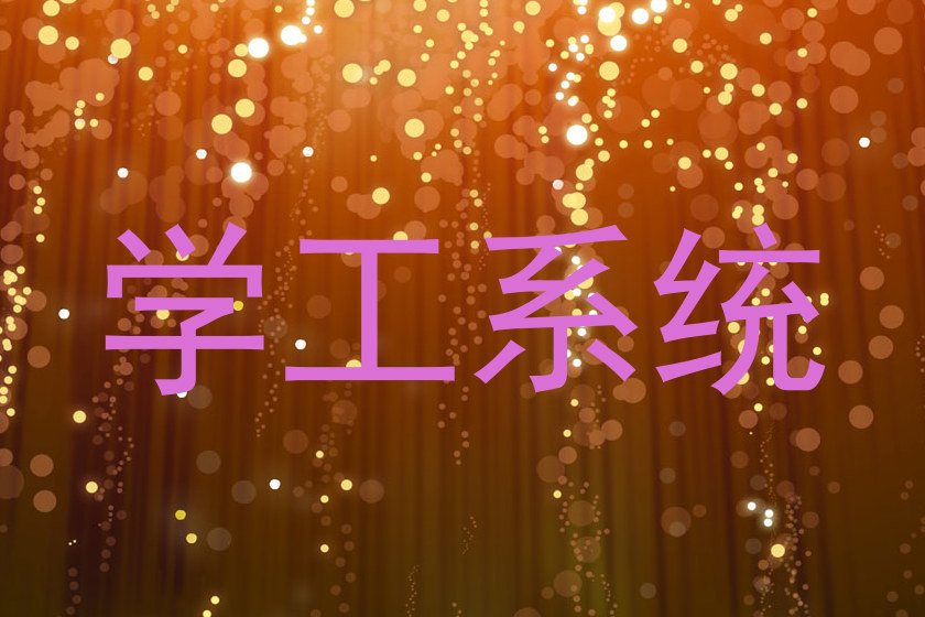 学工系统