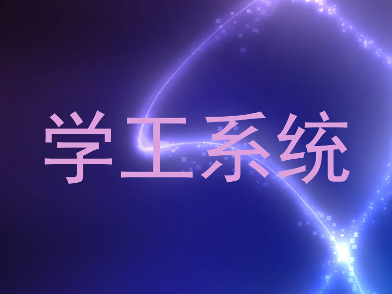 学工系统