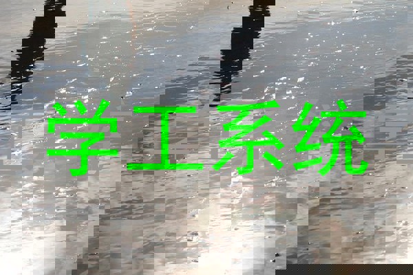 学工系统