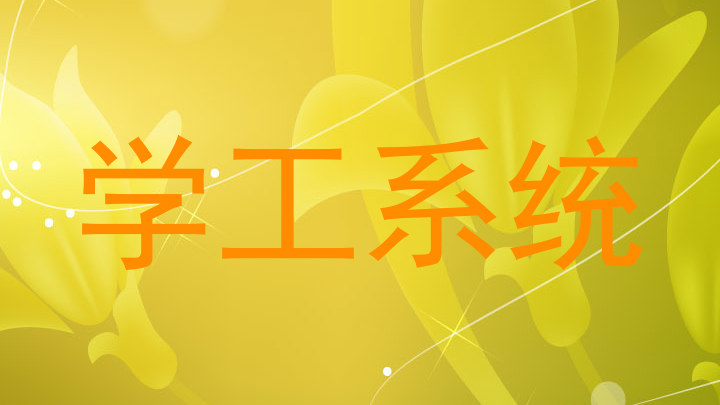 学工系统