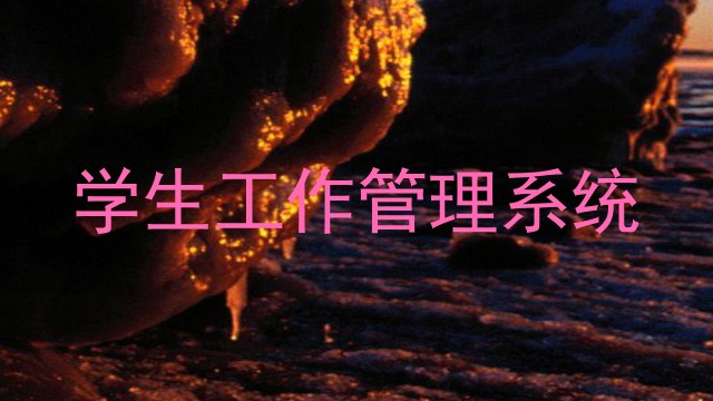 学生工作管理系统