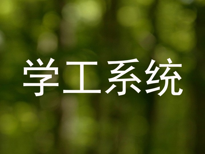 学工系统