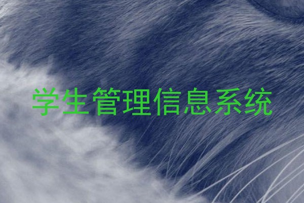学生管理信息系统