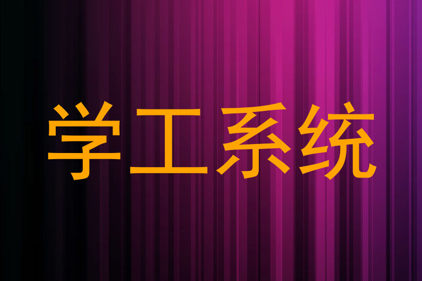 学工系统