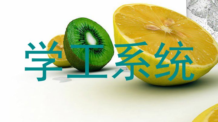 学工系统