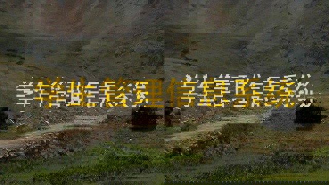 学生管理信息系统