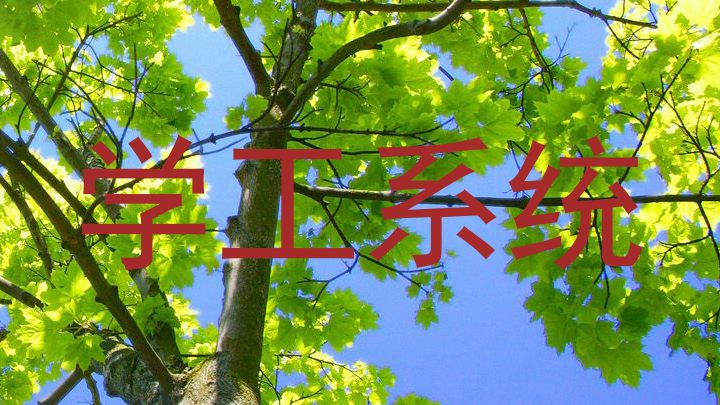 学工系统