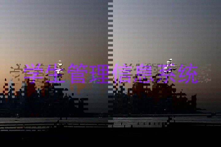 学生管理信息系统