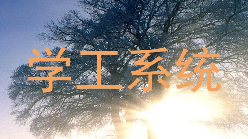 学工系统