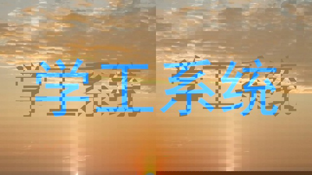 学工系统