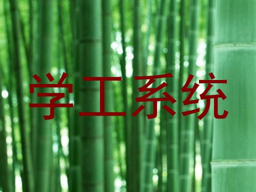 学工系统