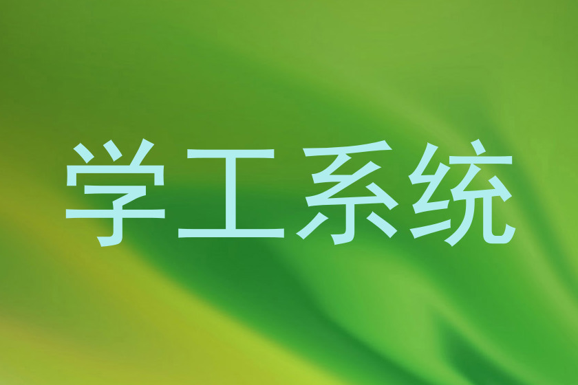 学工系统