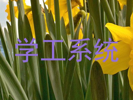 学工系统