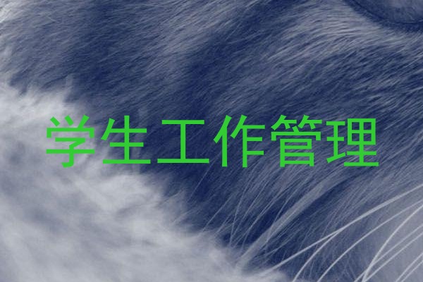 学生工作管理