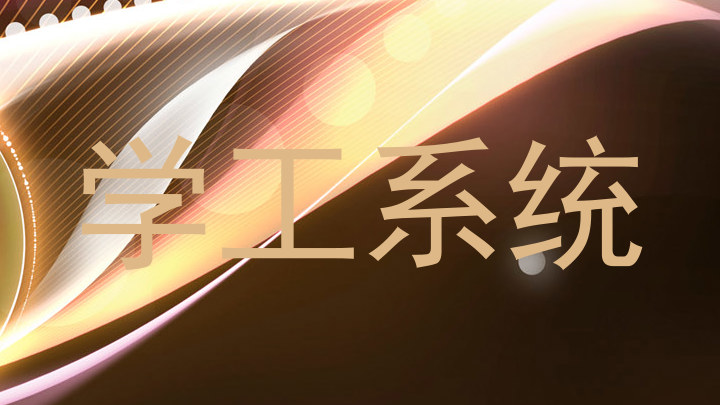 学工系统
