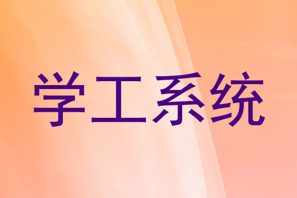学工系统