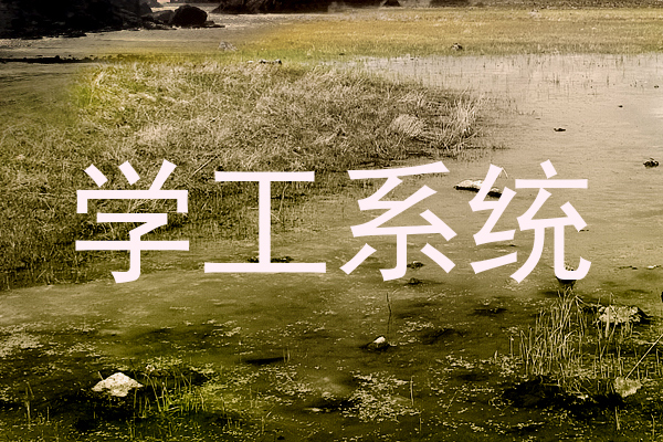 学工系统