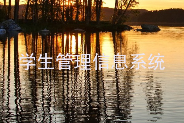 学生管理信息系统